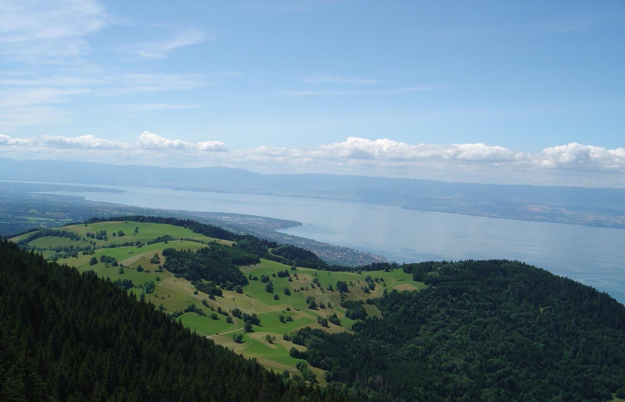 Chalet Les Alpages Vue Panoramique Sur Le Lac Leman Thollon-les-Memises Buitenkant foto