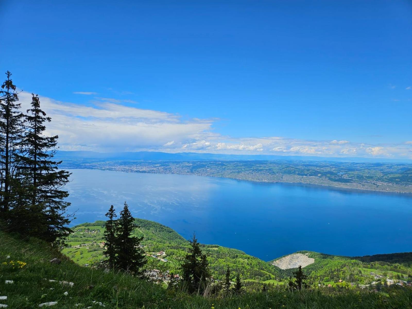 Chalet Les Alpages Vue Panoramique Sur Le Lac Leman Thollon-les-Memises Buitenkant foto